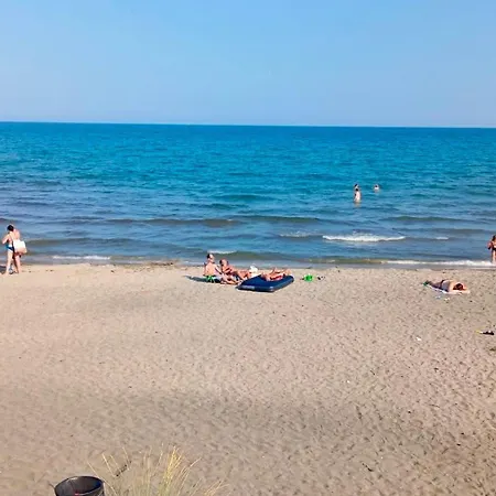 S Vyhledem Na Midia Family ,aheloy Aheloi